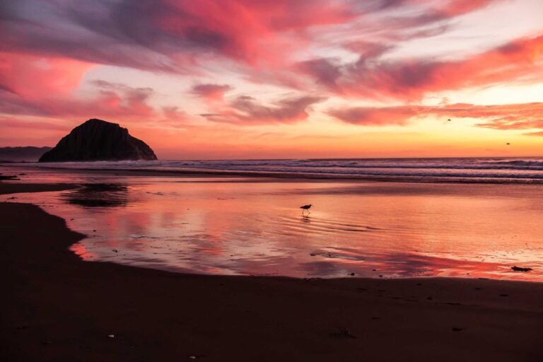 Seguridad hogar técnicas robo